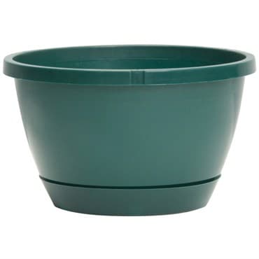 DLN 10.00 TRAD 2 WS HB NO HGR 300GN 50/CS 36CS/PL — photo 1 of 2