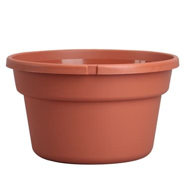 DLN 12.00 SL COLOR BSKT CL 25/CS 48CS/PL — photo 1 of 2