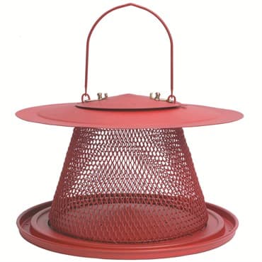 NoNo Red Cardinal Feeder — photo 1 of 2