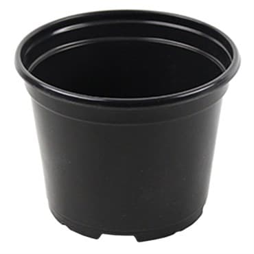 Grower Select 06.00 Coex Azalea Round Pot Black 660/CS — photo 1 of 2