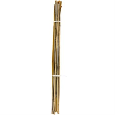 A&G 1/2"x4' Bamboo Stake — photo 1 of 2