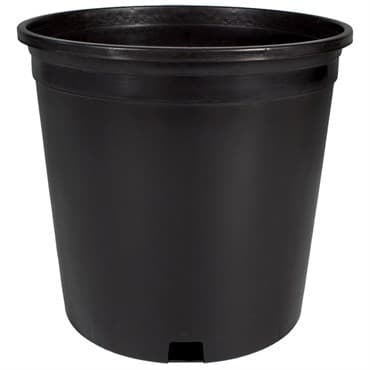 HC #2 2 Gallon Nursery Container Black 50 per Bundle — photo 1 of 2