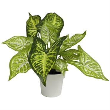 Algreen Faux 12" Caladium — photo 1 of 2