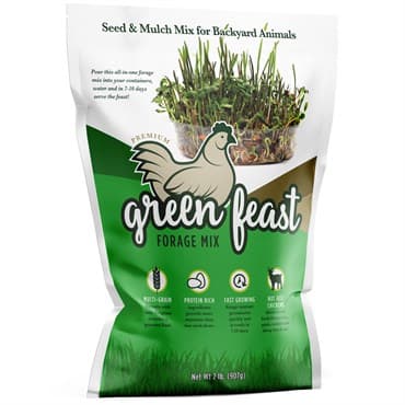 Amturf 2# Green Feast Chicken Forage Seed Mix — photo 1 of 2