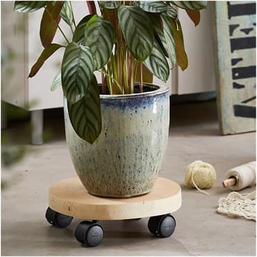 TDI Round Natural Wood Plant Caddy — photo 1 of 2