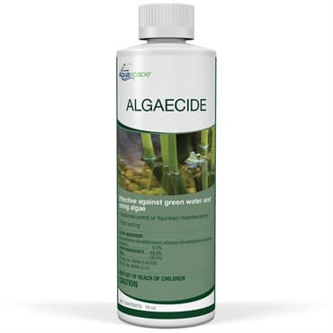 Aquascape 16oz Algaecide — photo 1 of 2