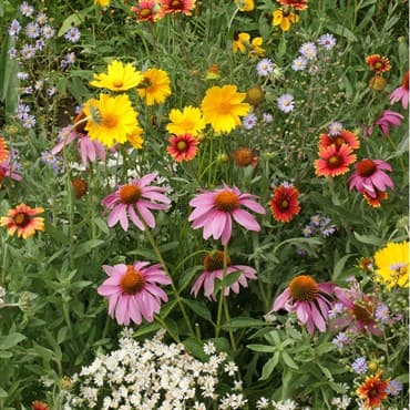 Flower Mix, Honey Bee 1/2oz — photo 1 of 2