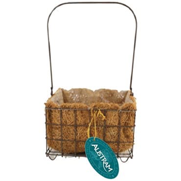 Austram 14" Queen Anne Parasol Hanging Planter Bronze — photo 1 of 2