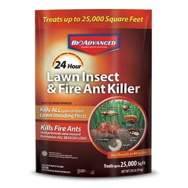 BioAdv 20# 24Hr Lawn Insect Killer Granules 25M — photo 1 of 2