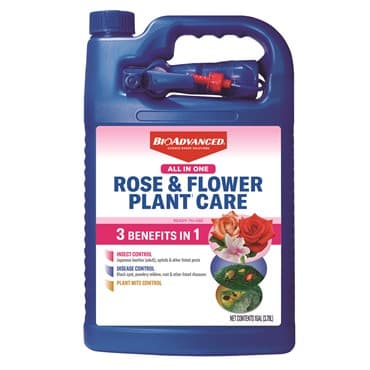 BioAdvanced 1gal All-In-One Non-Neonic Rose Flower RTU — photo 1 of 2