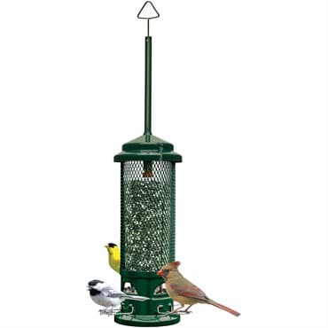 Brome Bird Care 5.5"x16 Squirrel Buster Legacy Feeder — photo 1 of 2