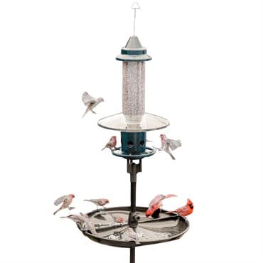 Brome Bird Care 24"x20"x7" Buster Plus Podium — photo 1 of 2