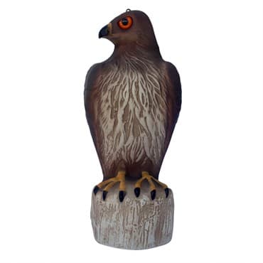 Bird B Gone Hawk — photo 1 of 2