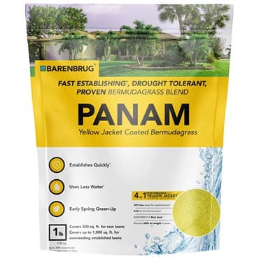 PanAm 1# Bermudagrass Blend Coated 12/CS — photo 1 of 2