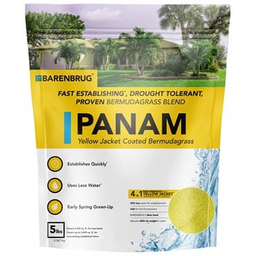 PanAm 5# Bermudagrass Blend Coated 10/CS — photo 1 of 2