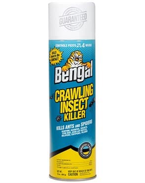 Bengal 16oz Crawling Insect Killer — photo 1 of 2