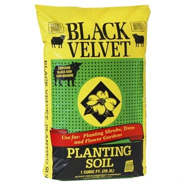 Black Velvet 1CF Plant Soil — photo 1 of 2