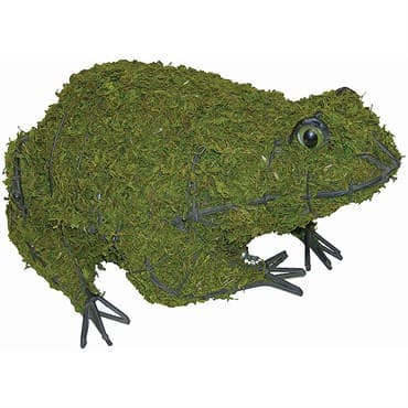 Braun 6" Frog Mossed — photo 1 of 2