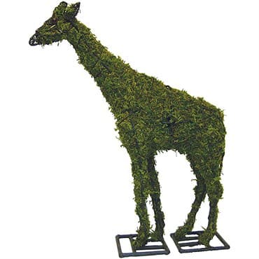 Braun 38" Giraffe Mossed — photo 1 of 2