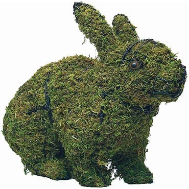 Braun 13" Hopping Rabbit Mossed — photo 1 of 2