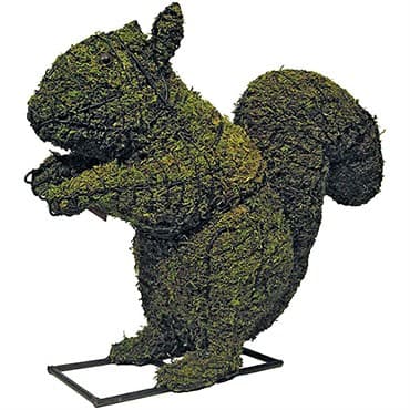 Braun 12" Squirrel Mossed — photo 1 of 2