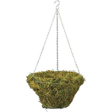 Braun 20" Woodland Moss Hanging Basket w/ Green Chain Hanger — photo 1 of 2