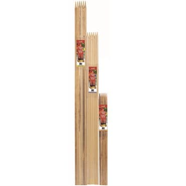 Bond 6'x3/4"x3/4" Hardwood Stakes 6pk — photo 1 of 2
