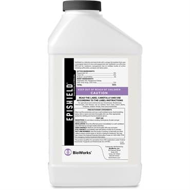 BioWorks EpiShield 36oz (6/CS) ( Peppermint & Clove Oil, Sodium Lauryl Sulfate ) — photo 1 of 2