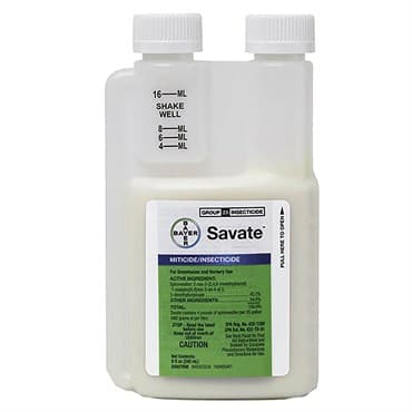 Envu Savate 8oz (6/CS) AGENCY ( Spiromesifen ) — photo 1 of 2