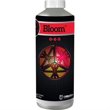 Cutting Edge Quart Bloom 0-6-5 — photo 1 of 2
