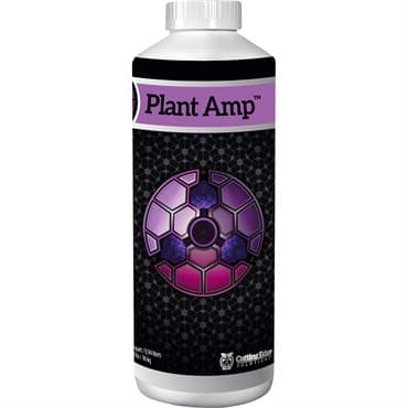 Cutting Edge Quart Plant Amp — photo 1 of 2