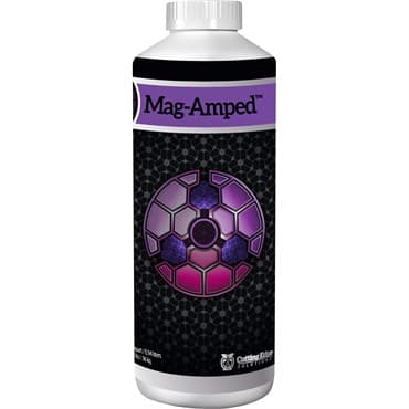 Cutting Edge Solutions Quart Mag Amped — photo 1 of 2