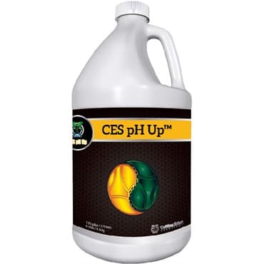 Cutting Edge Gallon pH Up — photo 1 of 2