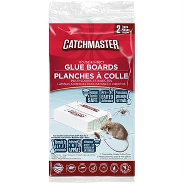 Catchmaster 2pk Mouse Insect & Snake Glue Boards — photo 1 of 2