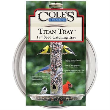 Coles 12" Titan Tray — photo 1 of 2