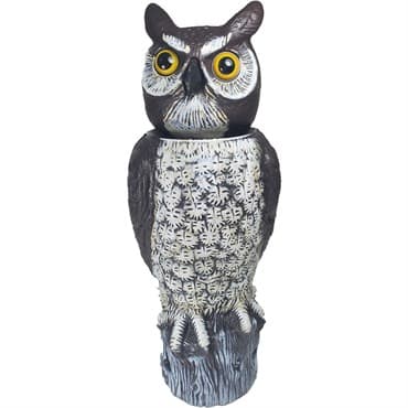 Dalen 18" Owl Motion Activated Solar Powered — photo 1 of 2