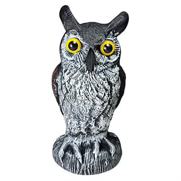 Dalen 10.6" Baby Owl Hand Painted — photo 1 of 2
