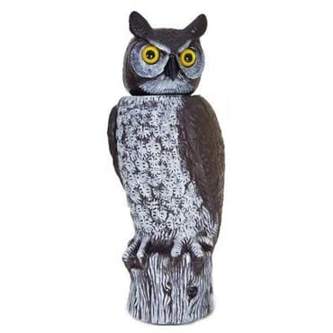 Dalen 18" Hand Painted Rotating Head Owl — photo 1 of 2