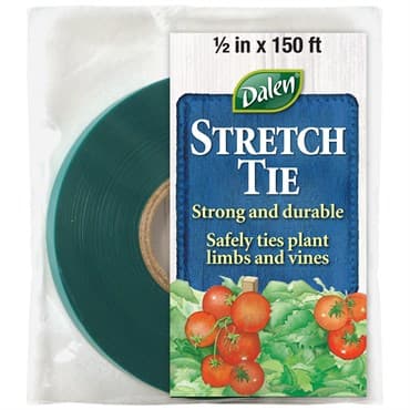 Dalen 1/2"x150' Stretch Tie Green — photo 1 of 2
