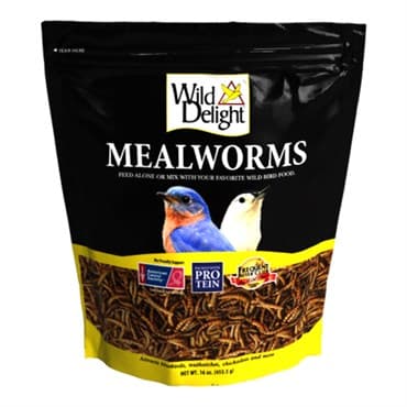 Wild Delight 16oz Mealworms — photo 1 of 2