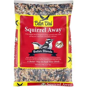D&D Better Bird 5# Squirrel Away Bird Seed — photo 1 of 2