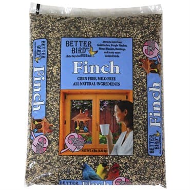 D&D 4# BB Finch Seed — photo 1 of 2