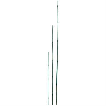 D&D Garden 6ct 4' Green Packaged Bamboo Stakes — photo 1 of 2