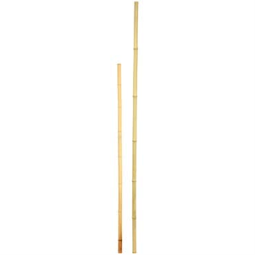 D&D Garden 8'x1" Super Bamboo Poles — photo 1 of 2