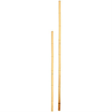 D&D Garden 6'x1.5" Super Bamboo Poles — photo 1 of 2