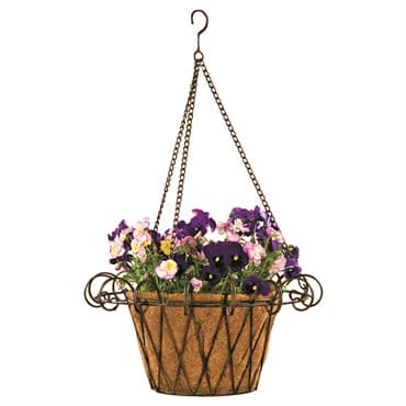Deer Park French Hanging Basket With Coco Liner — photo 1 of 2