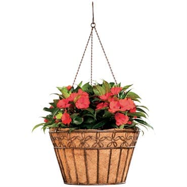 Deer Park 16" Hanging Daisy Ribbon Basket with Coco Liner — photo 1 of 2