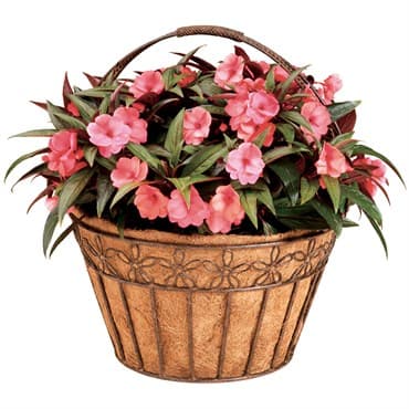 Deer Park 16" Daisy Ribbon Basket with Coco Liner — photo 1 of 2