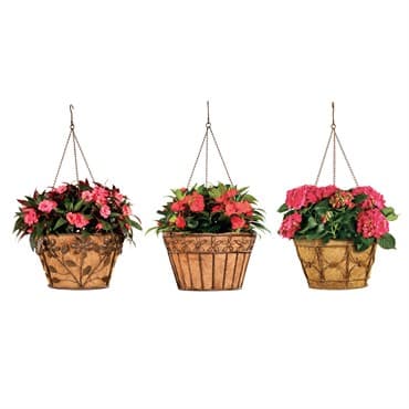 Deer Park Hanging Basket Variety Pk 2 Floral Daisy Ribbon Arch — photo 1 of 2