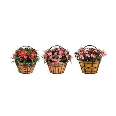 Deer Park Black Basket Variety Pk 2 Floral Daisy Ribbon Arch — photo 1 of 2